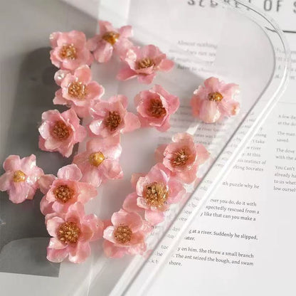 Z06永遠に咲いてバラ