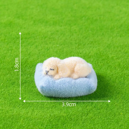 Z02いつも一緒ペット